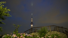スカイツリーのライトが雲に反射：隅田公園にて