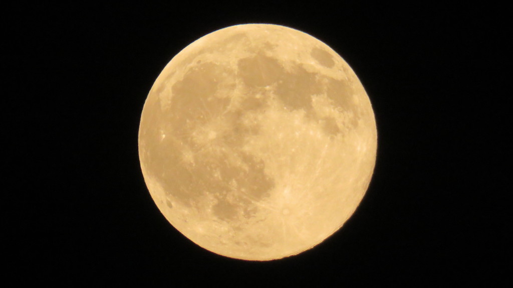 ブルームーン、19:36撮影