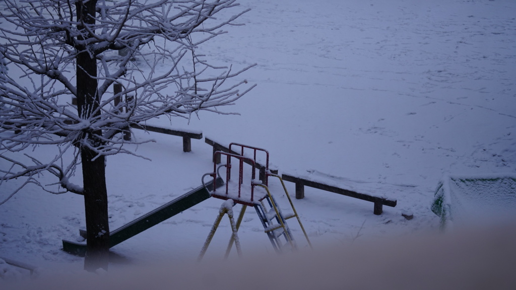 降雪:都内自宅マンションにて