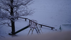 降雪:都内自宅マンションにて