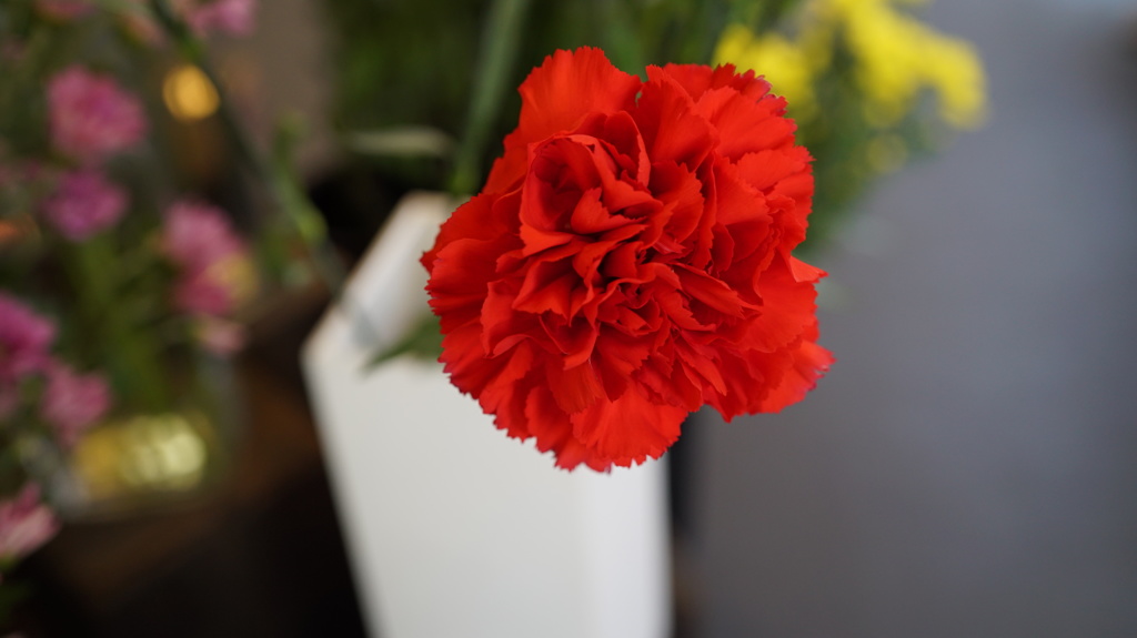 北綾瀬駅前の花屋さん