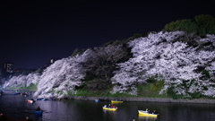 千鳥ヶ淵公園の夜桜