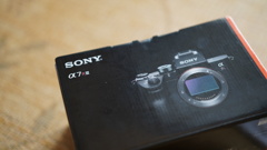 α7RIII初撮影