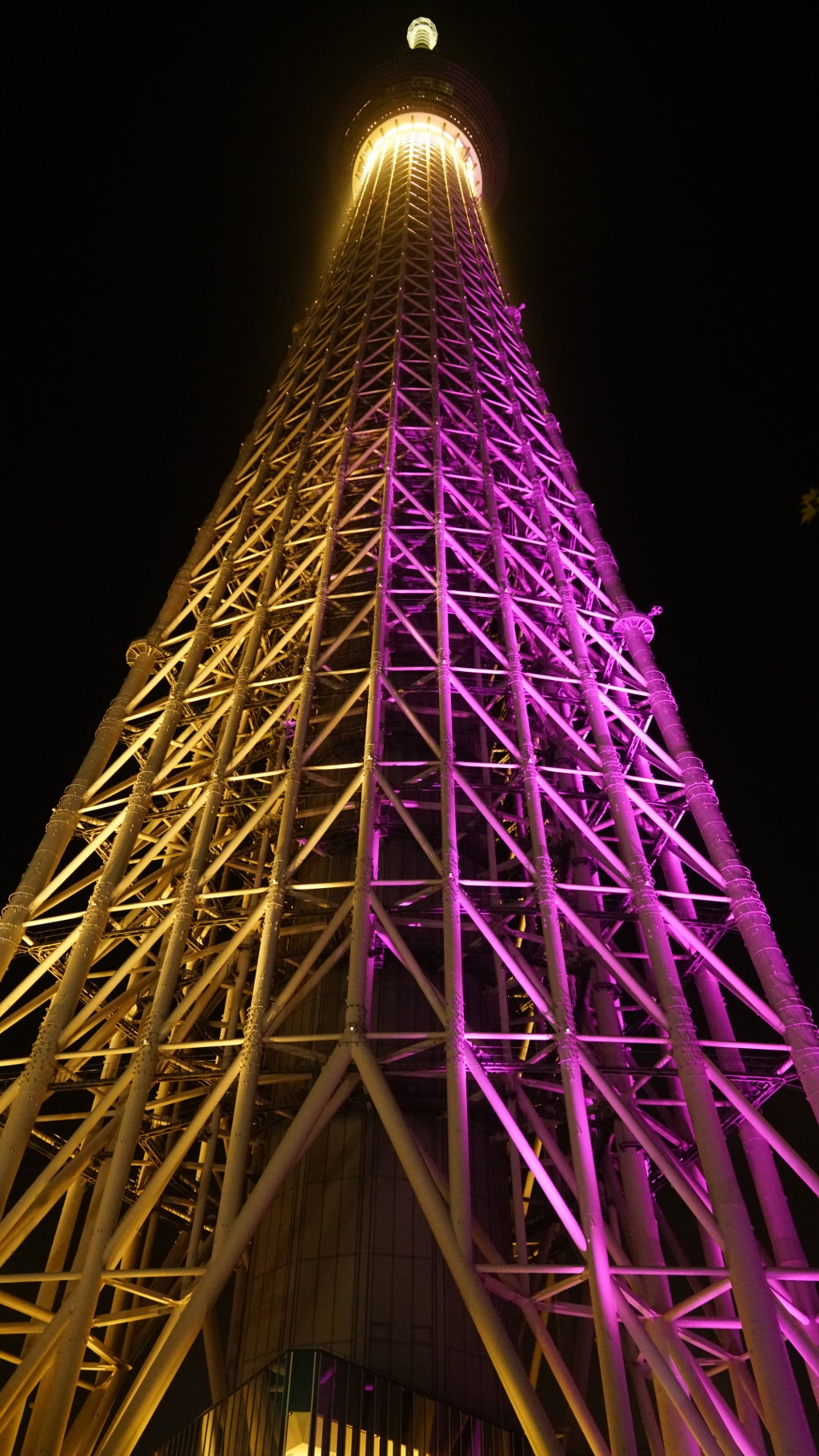 スカイツリー真下付近にて