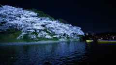 千鳥ヶ淵公園の夜桜/手持ち撮影