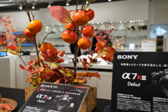 α7RIIIを、ソニーストア銀座で予約