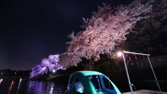 千鳥ヶ淵公園の夜桜/ボート初乗り