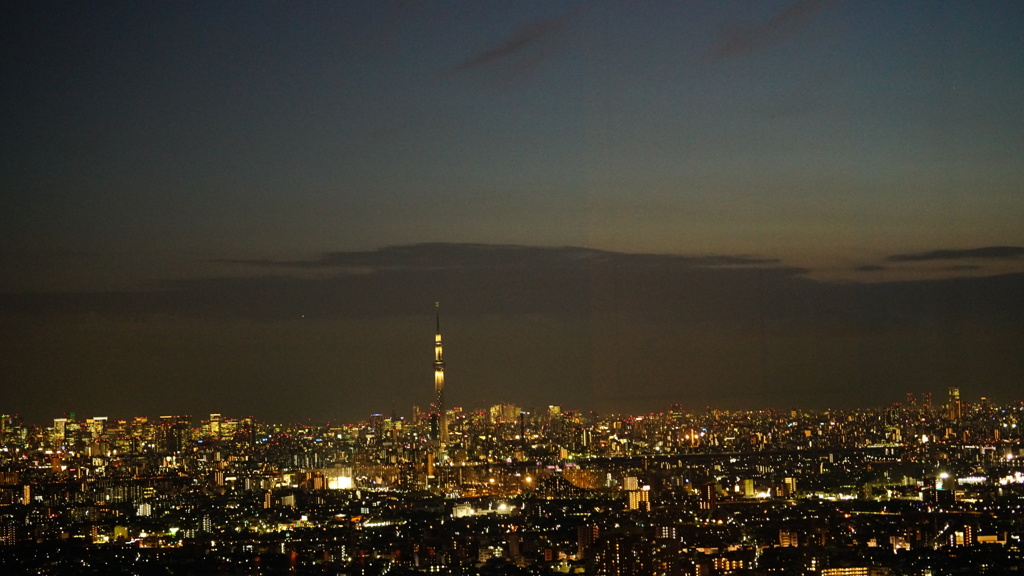 市川アイリンクタウン46階夜景