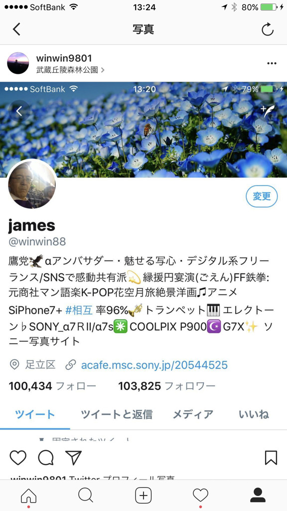 Twitter プロフィール変更/蜜蜂さん:ネモフィラ