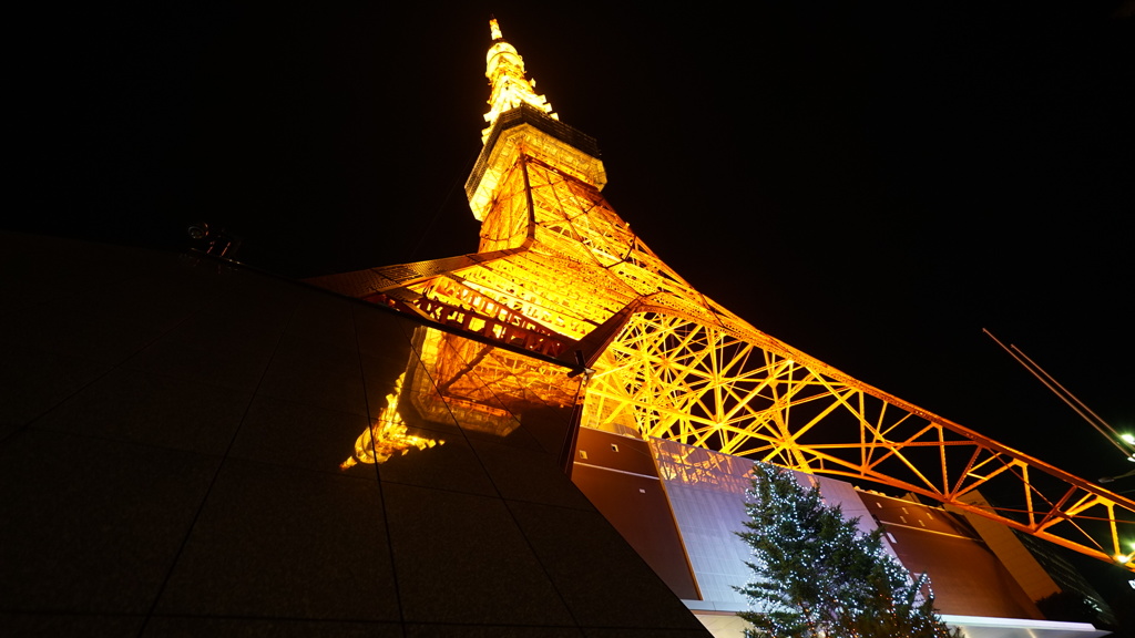 東京タワー、シンメトリック夜景