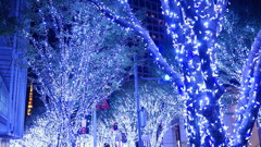 約一年ぶりの六本木イルミネーション