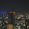 汐留夜景とブルーライン（ゲートウェイブリッジ）70mm