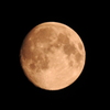 十三夜の月：1400mm