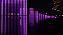 象の鼻パーク夜景