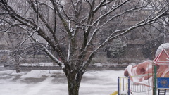 都内初雪？