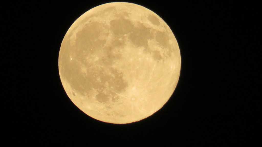 今夜のブルームーン