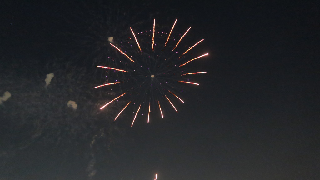 江東花火・ひまわり？