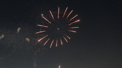 江東花火・ひまわり？