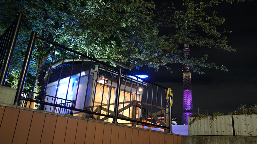 スカイツリーとブルー系のイルミネーション：Tully's 隅田公園店付近