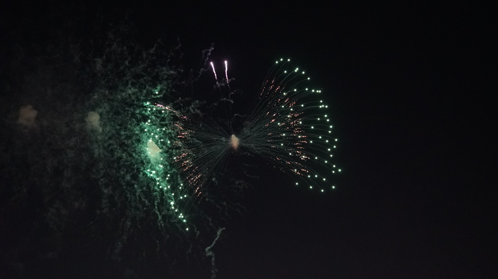 江東花火・蝶？