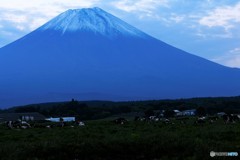 季節外れのおめかし