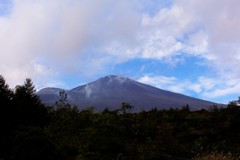 来年に…思いを馳せる。