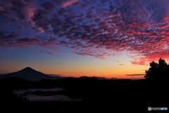 鱗雲も染まる夜明け