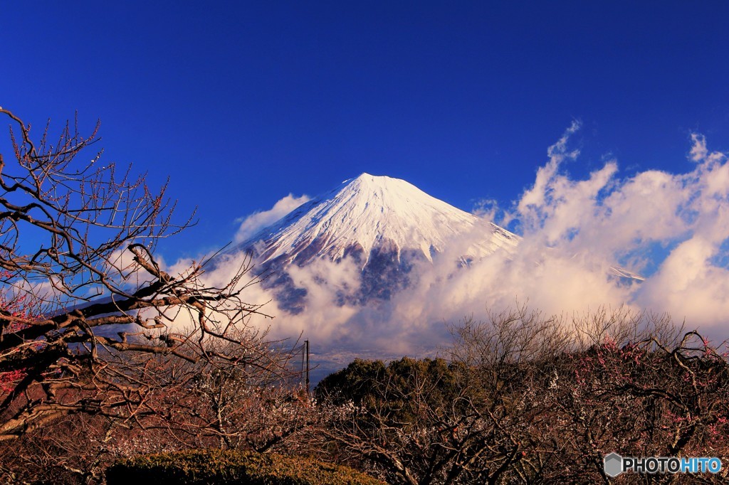 雪化粧の富士、雲を纏って…。