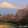 我が街の春　其之二