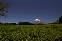 抜けるような青空と…