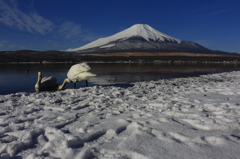 湖畔でのひととき。