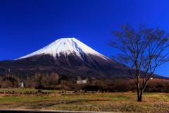 雪化粧と草原と…