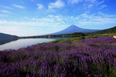 青と緑と紫と…