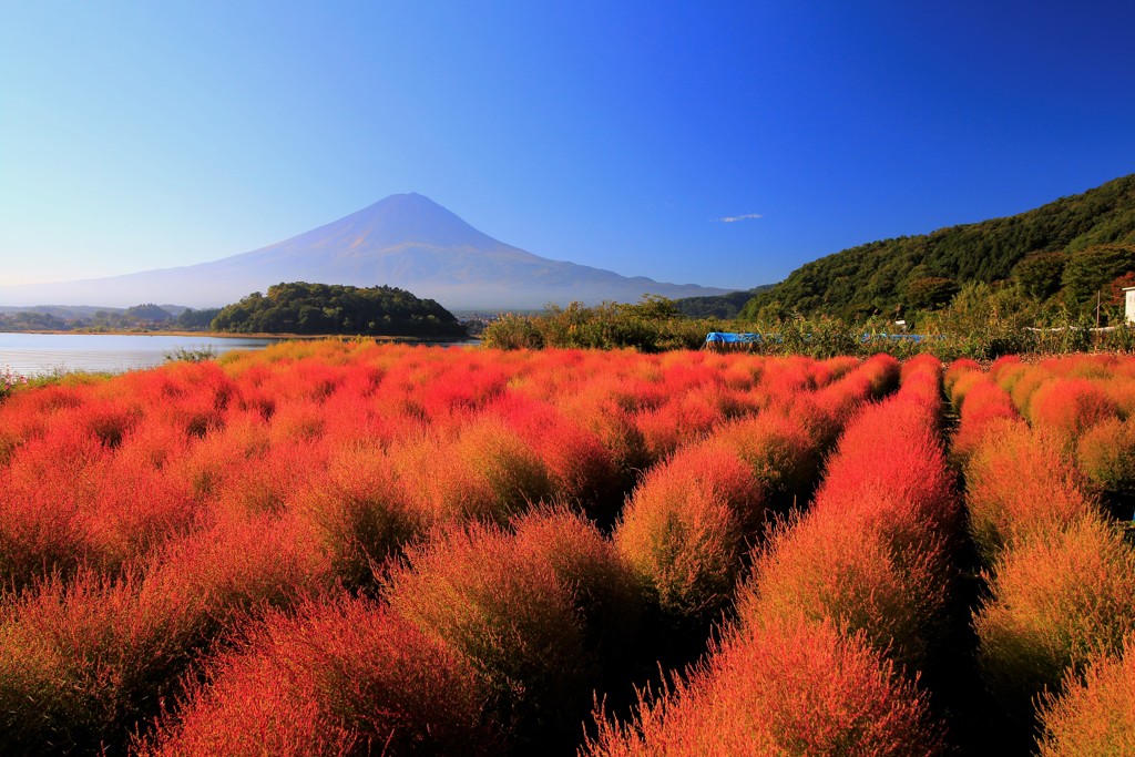 紅の湖畔、朝のひととき。