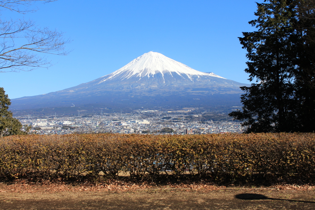 一番見慣れた富士山。