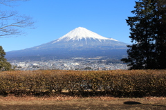 一番見慣れた富士山。