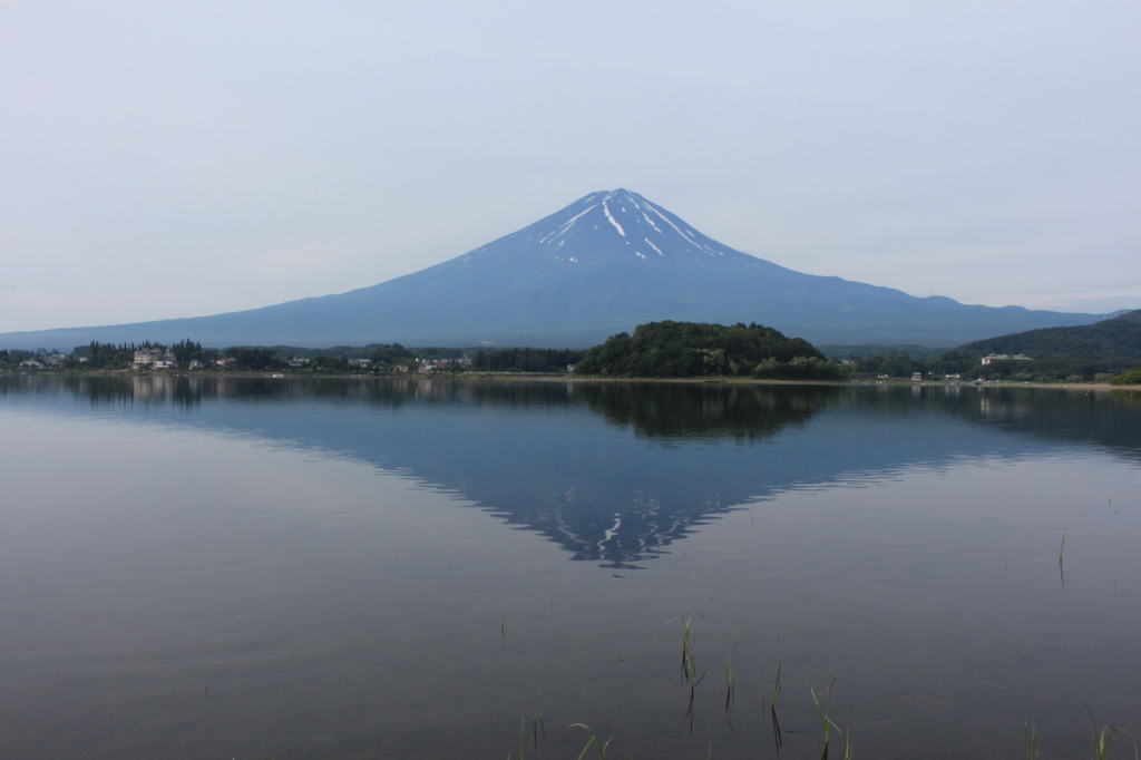 朝のひととき