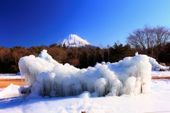 寒空の下、樹氷は力強く