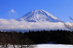 更に北上して…