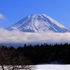 更に北上して…