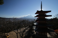 こちらも、冬の装い。