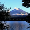 木々の隙間から…。
