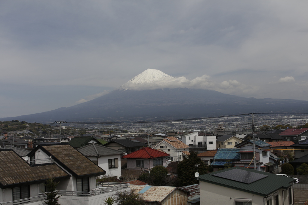 現在の我が家の近所から…。