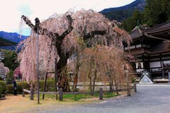 400年間…。