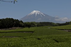 雲は流れて…