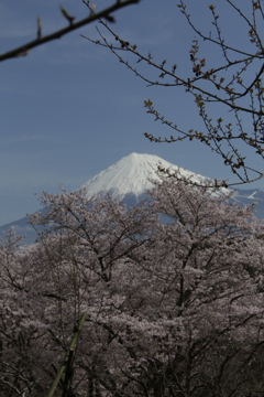 せっかくなので…縦でも。