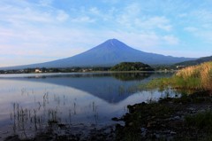 こちらのほうも、夏の装い