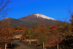 登山道、晩秋の佇まい。