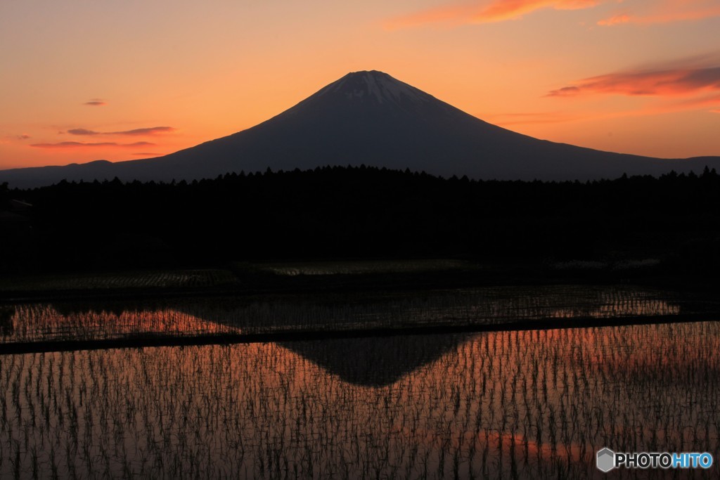 とある初夏の日、田園の夕景。