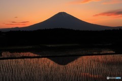 とある初夏の日、田園の夕景。